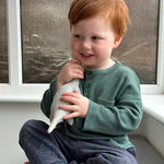 Charger l'image dans la galerie, Bronty Linen Dinosaur Toy