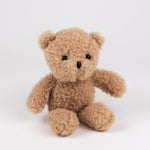 Load image into Gallery viewer, Plush Morris the Bear- Small