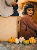 Charger l'image dans la galerie, Toy Box