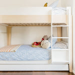 Load image into Gallery viewer, Perch Trundle Bed