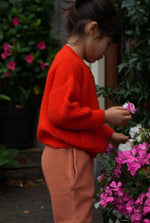 Load image into Gallery viewer, The Tanguis Cotton Cardigan - Joyful Poppy