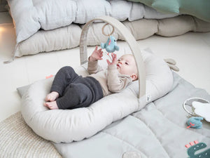 Cozy Lounger With Activity Arch