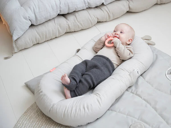 Cozy Lounger With Activity Arch