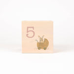 Load image into Gallery viewer, Lenny the Rabbit Cube House
