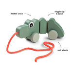 Load image into Gallery viewer, Pull along wiggle toy- Croco Green
