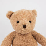 Load image into Gallery viewer, Plush Morris the Bear- Small
