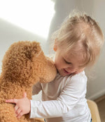 Load image into Gallery viewer, Plush Anatole- Small
