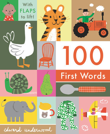 100 First Words: With Flaps to Lift