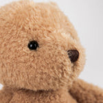 Load image into Gallery viewer, Plush Morris the Bear- Small
