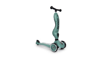 Scoot & Ride Highwaykick 2 in 1 Scooter- Forest Color