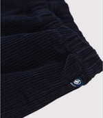 Load image into Gallery viewer, Velvet Corduroy Pants- Navy
