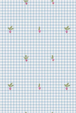 Charger l'image dans la galerie, Muslin Swaddle - Radish
