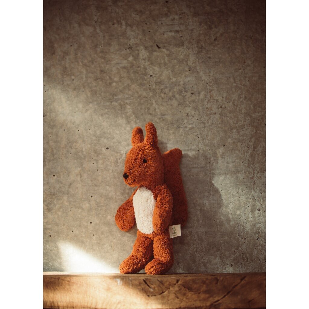 Floppy Animal Squirrel- Small