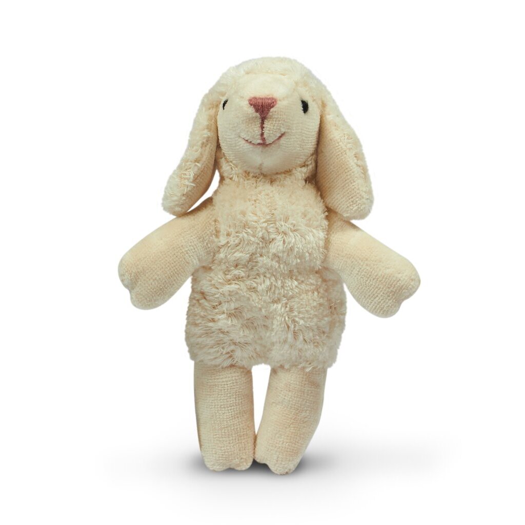Organic Animal Baby Sheep
