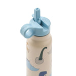 Load image into Gallery viewer, FALK Water Bottle- Dino roar / Sandy
