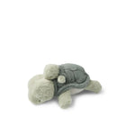 Load image into Gallery viewer, Berto &amp; Baby Turtle Teddy- Faune green
