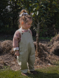 Paprika Stripes Sweatshirt