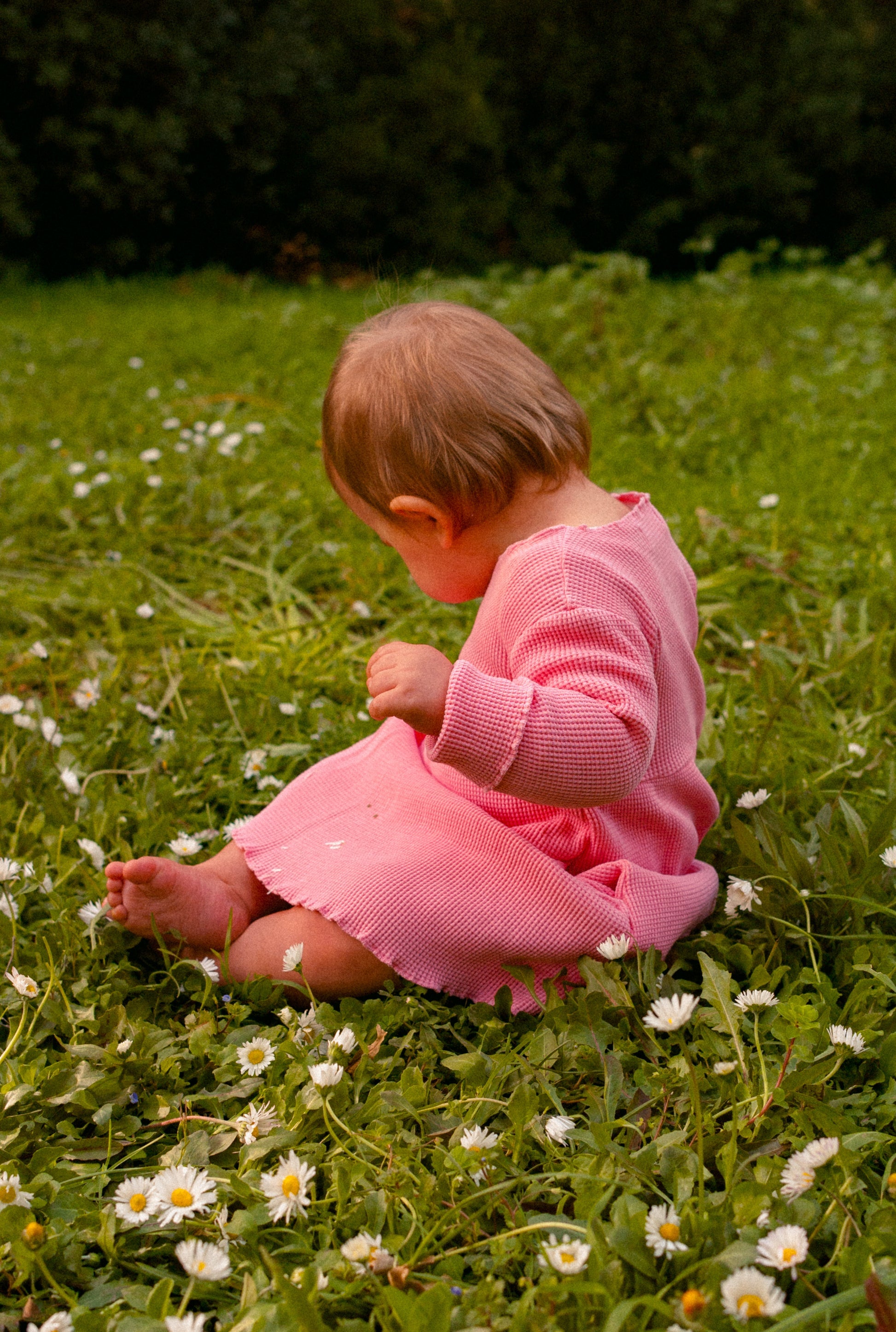 The Play Dress - Rose