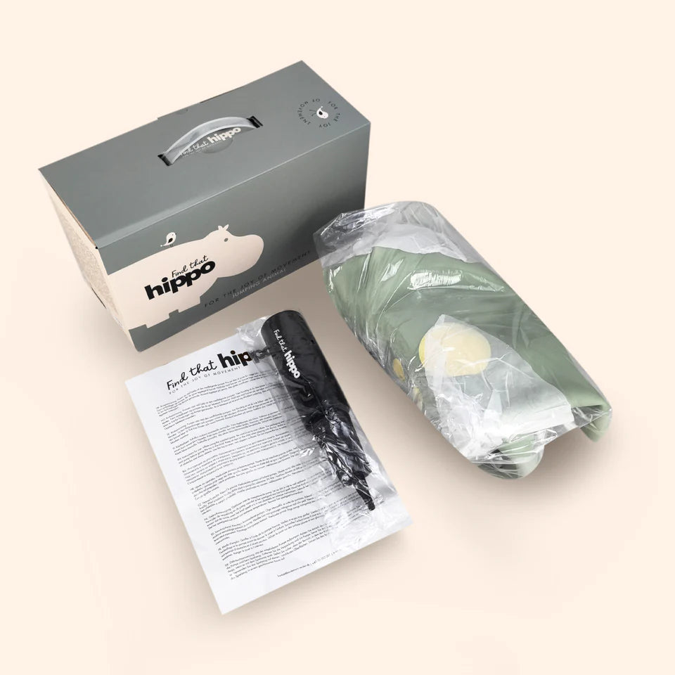 Jumping Animal- Dexter the Dinosaur