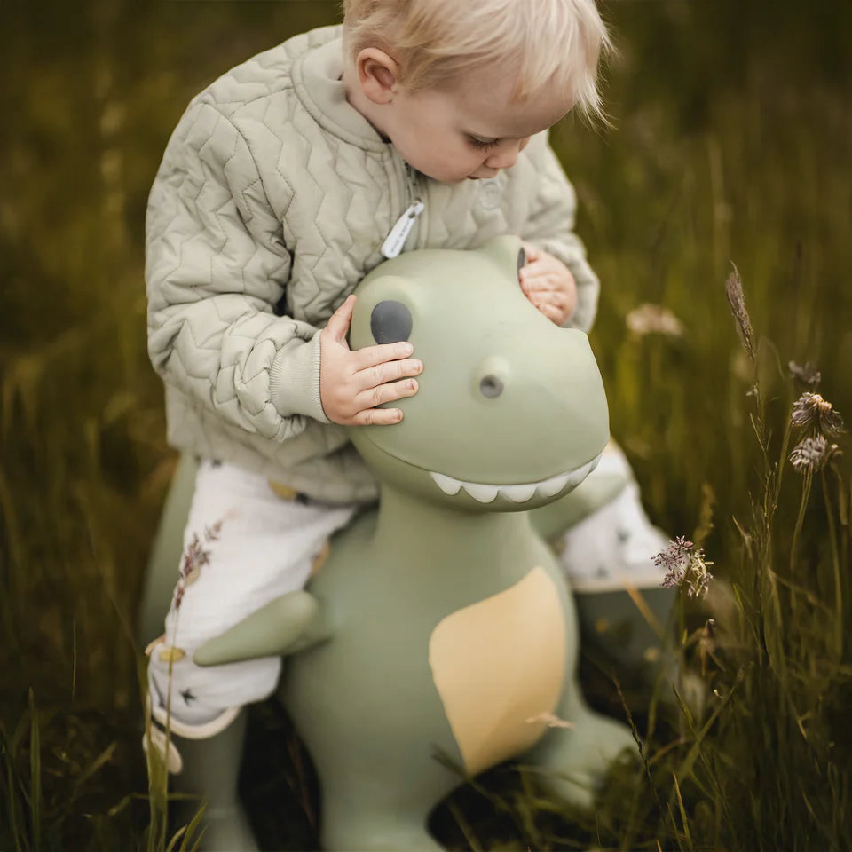 Jumping Animal- Dexter the Dinosaur