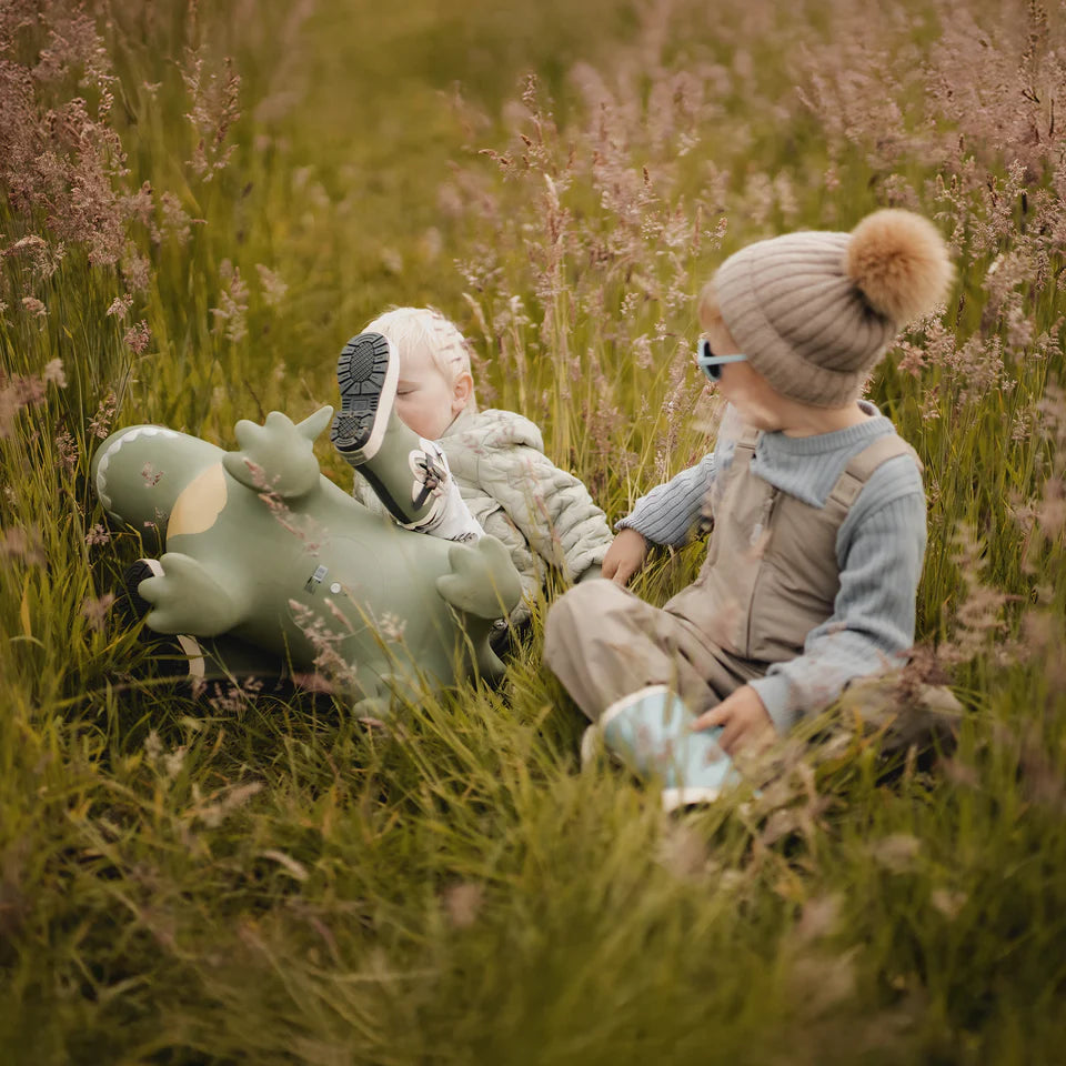 Jumping Animal- Dexter the Dinosaur