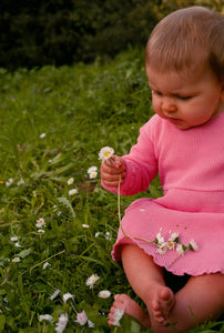 The Play Dress - Rose