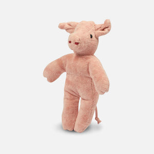 Organic Animal Baby Pig