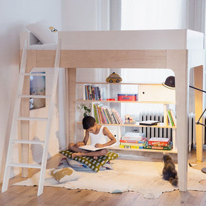 Perch Twin Loft Bed