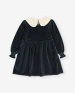 Load image into Gallery viewer, Velvet Dress- Whale
