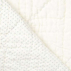 Stork Baby Blanket- Blue Dots